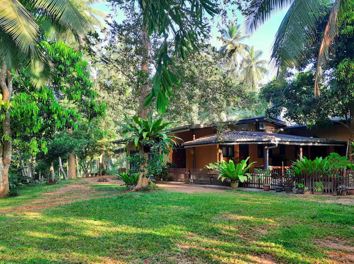 Nature'S Hideout Holiday Home Mirigama Ngoại thất bức ảnh