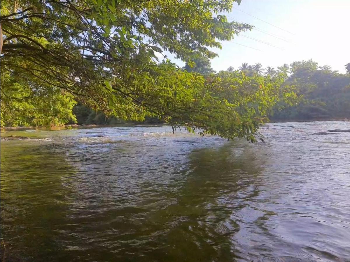 Nature'S Hideout Holiday Home Mirigama Ngoại thất bức ảnh