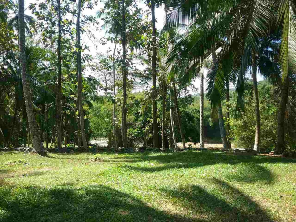 Nature'S Hideout Holiday Home Mirigama Ngoại thất bức ảnh