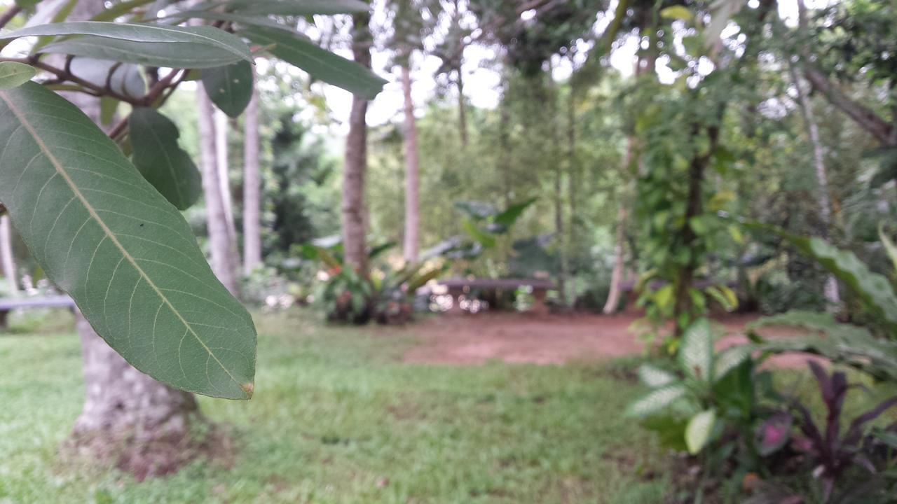 Nature'S Hideout Holiday Home Mirigama Ngoại thất bức ảnh