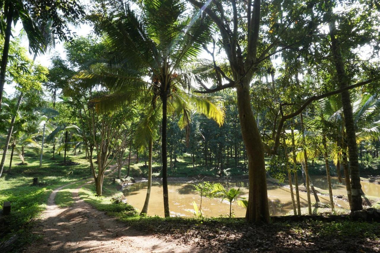 Nature'S Hideout Holiday Home Mirigama Ngoại thất bức ảnh